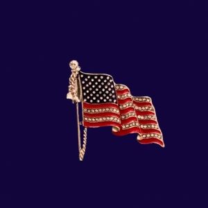Rhinestone and Enamel American Flag Brooch 🆕